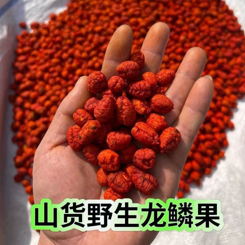 栀子仁中药材山栀子去壳栀子仁粉栀子肉栀子龙鳞果