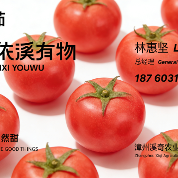 铁皮柿子