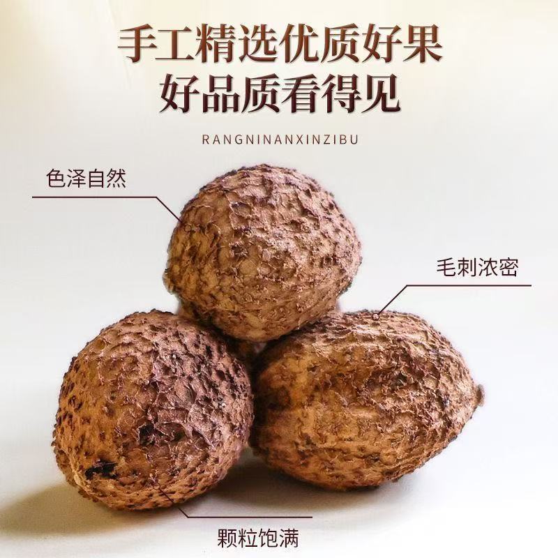正宗阳春砂仁进口砂仁米去壳煲汤养胃调味中药材香料大全