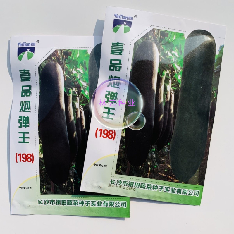 银田一品炮弹王(198)黑皮冬瓜种子肉厚肉质致密空腔小