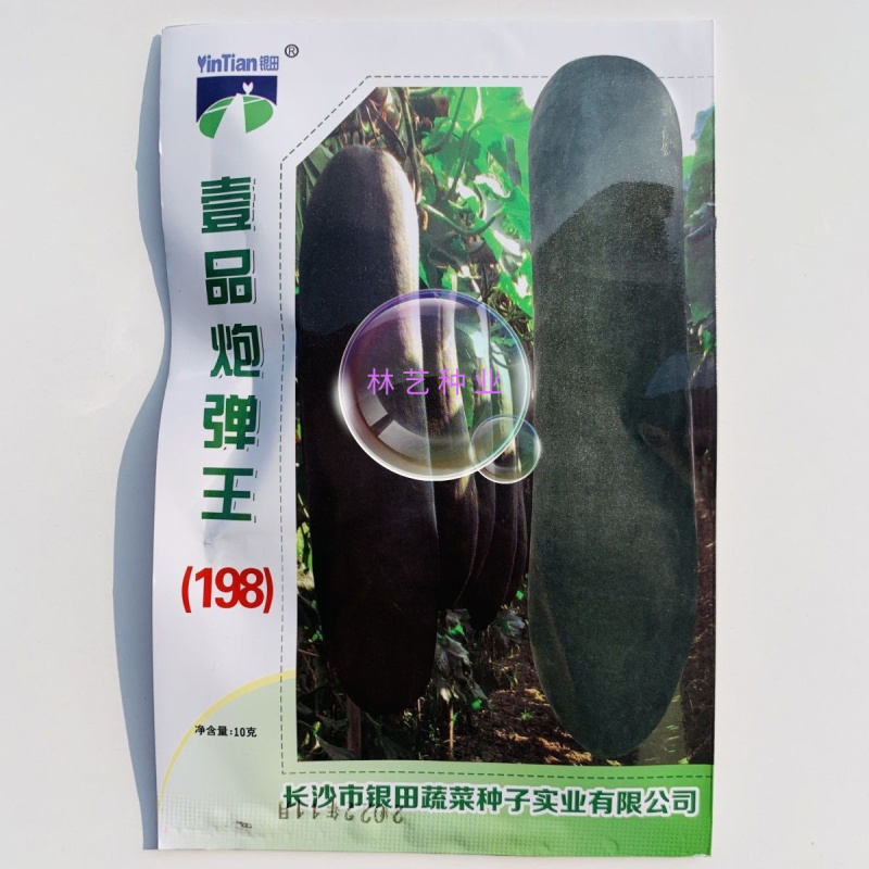 银田一品炮弹王(198)黑皮冬瓜种子肉厚肉质致密空腔小