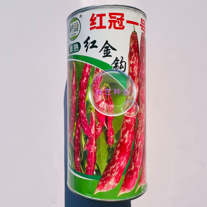 种盈红冠一号早熟红金钩豆角种子蔓生圆角肉厚肉质细腻春秋季