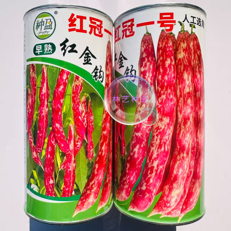 种盈红冠一号早熟红金钩豆角种子蔓生圆角肉厚肉质细腻春秋季