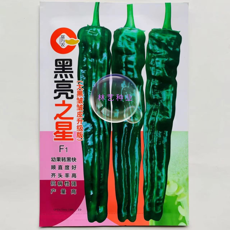 黑亮之星高端早中熟大果邹皮椒种子一代杂交转黑快亮度高皮薄