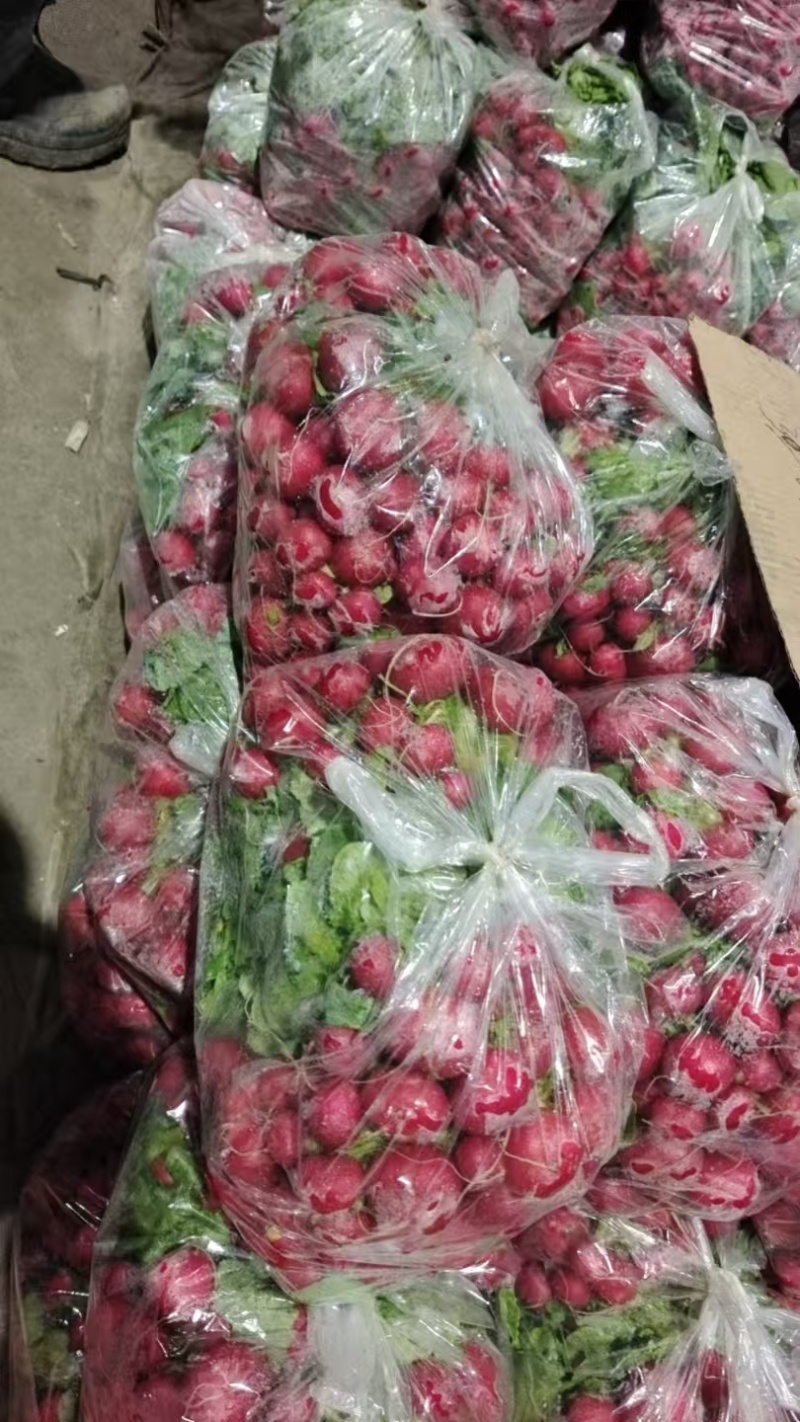 【实力商家】产地直发【质量优选】诚实守信【对接超市】量大