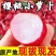 【平台力推】产地直供【诚信经营】质量上乘【对接超市】萝卜