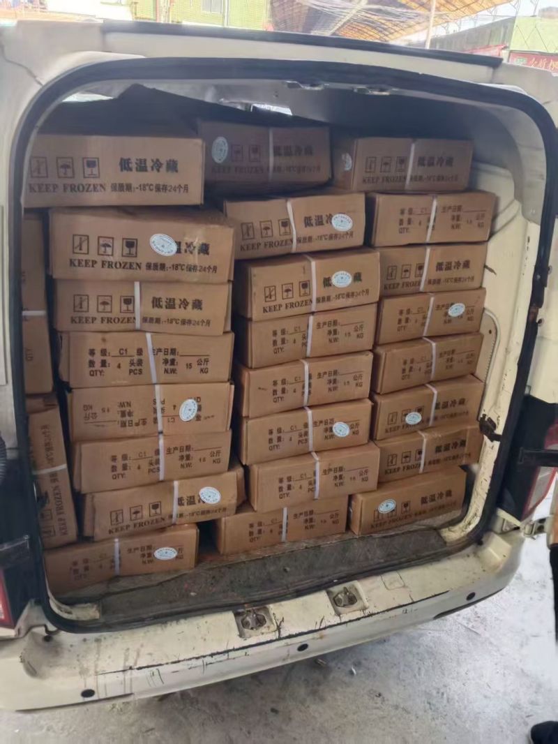 乳猪，小奶猪，娃娃猪，红烧乳猪，碳烤乳猪，