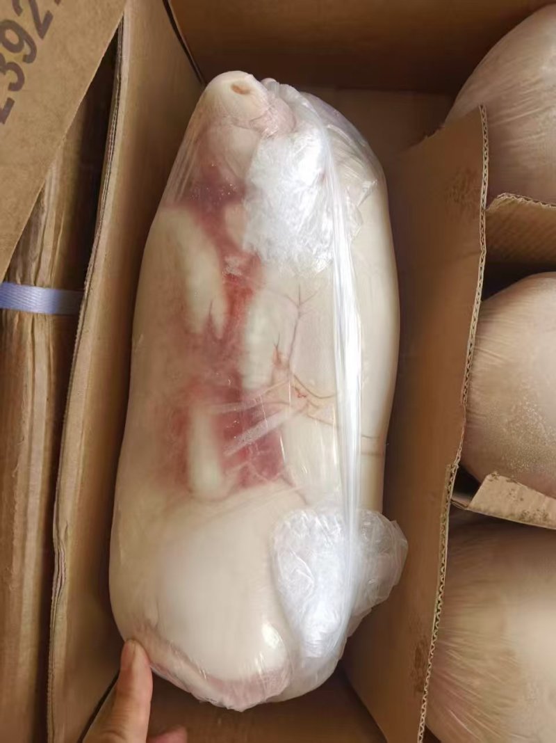乳猪，小奶猪，娃娃猪，红烧乳猪，碳烤乳猪，