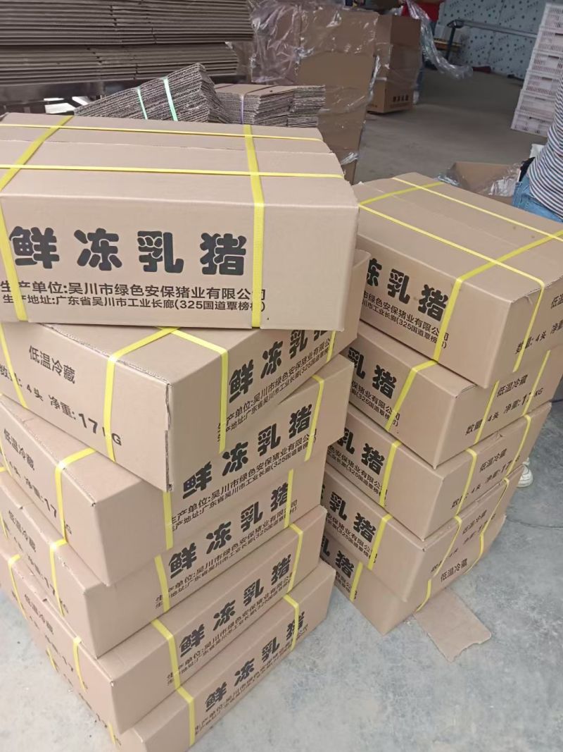 乳猪，小奶猪，娃娃猪，红烧乳猪，碳烤乳猪，