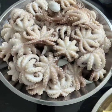 八爪鱼，生冻八爪鱼原料，熟制八爪鱼，香辣八爪鱼秘制小章鱼