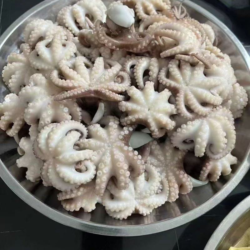 八爪鱼，生冻八爪鱼原料，熟制八爪鱼，香辣八爪鱼秘制小章鱼