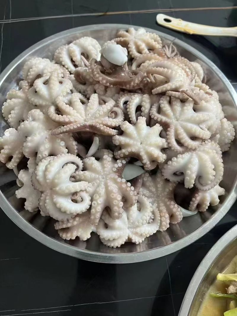 八爪鱼，生冻八爪鱼原料，熟制八爪鱼，香辣八爪鱼秘制小章鱼