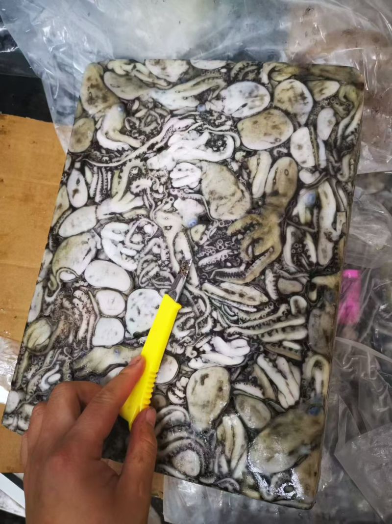 八爪鱼，生冻八爪鱼原料，熟制八爪鱼，香辣八爪鱼秘制小章鱼