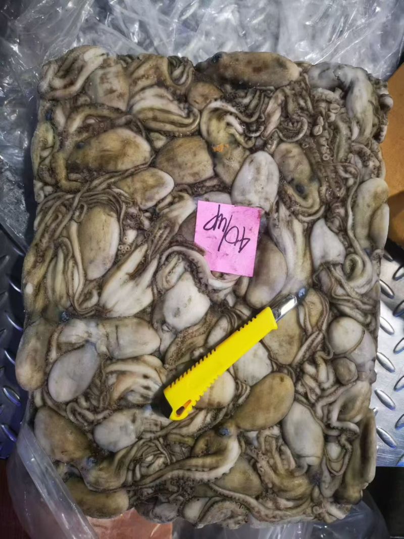 八爪鱼，生冻八爪鱼原料，熟制八爪鱼，香辣八爪鱼秘制小章鱼