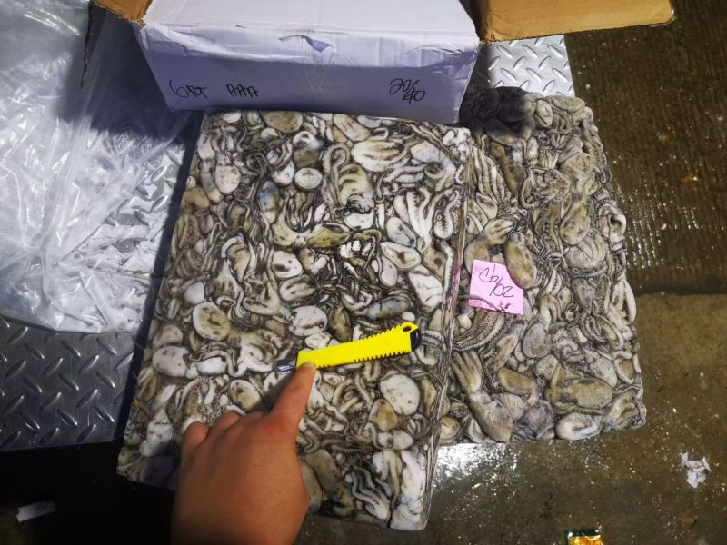 八爪鱼，生冻八爪鱼原料，熟制八爪鱼，香辣八爪鱼秘制小章鱼