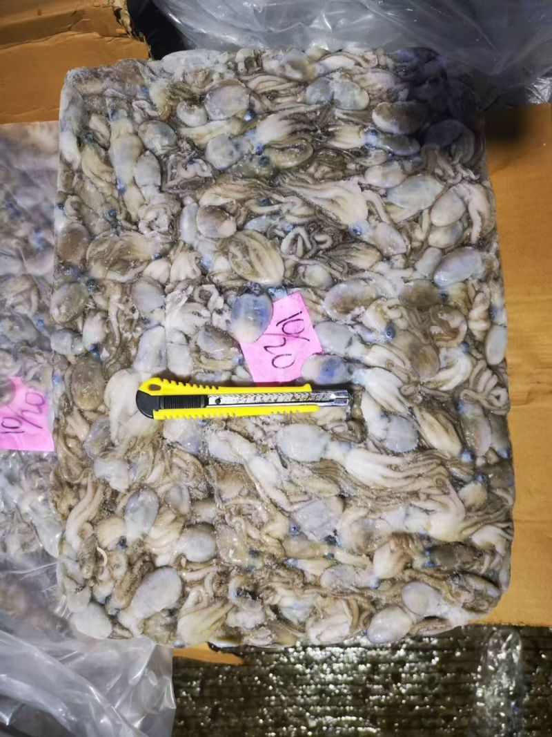 八爪鱼，生冻八爪鱼原料，熟制八爪鱼，香辣八爪鱼秘制小章鱼