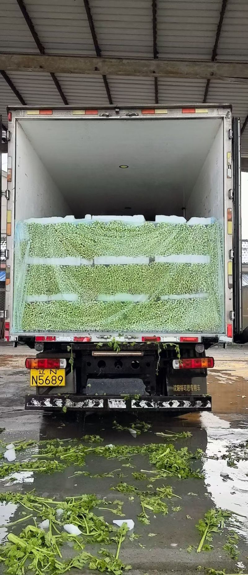 精品芹菜，
