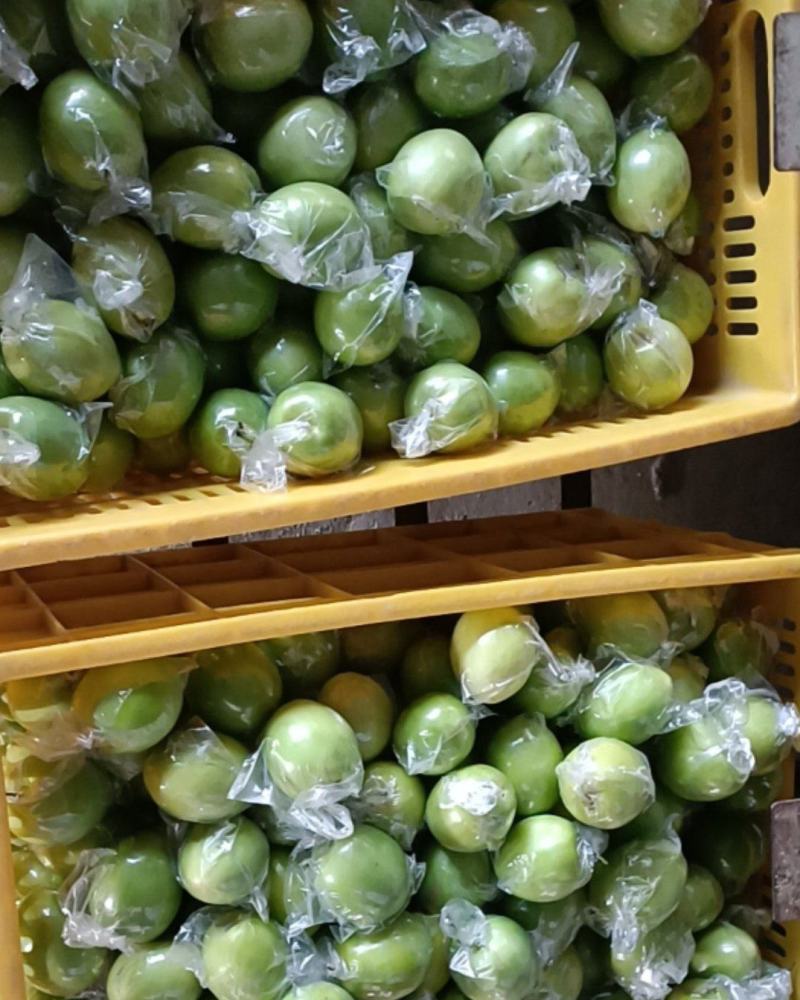 青枣
