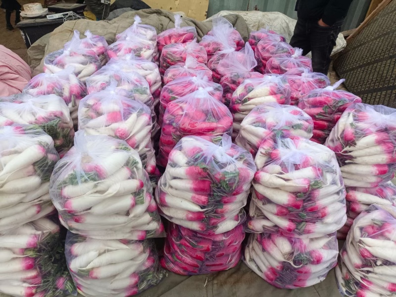 萝卜大量上市颜色好不花心.有要联系我1505492530