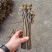 贵州蕨菜保持每天出货鲜货