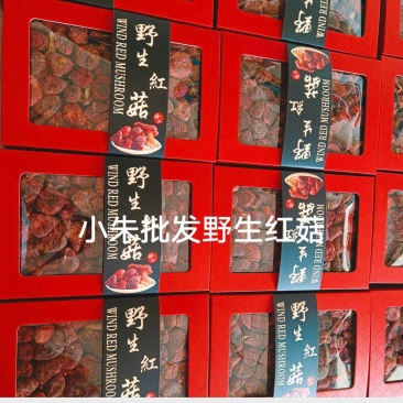 【红菇礼盒】野生红菇,特级红菇月子红菇干货