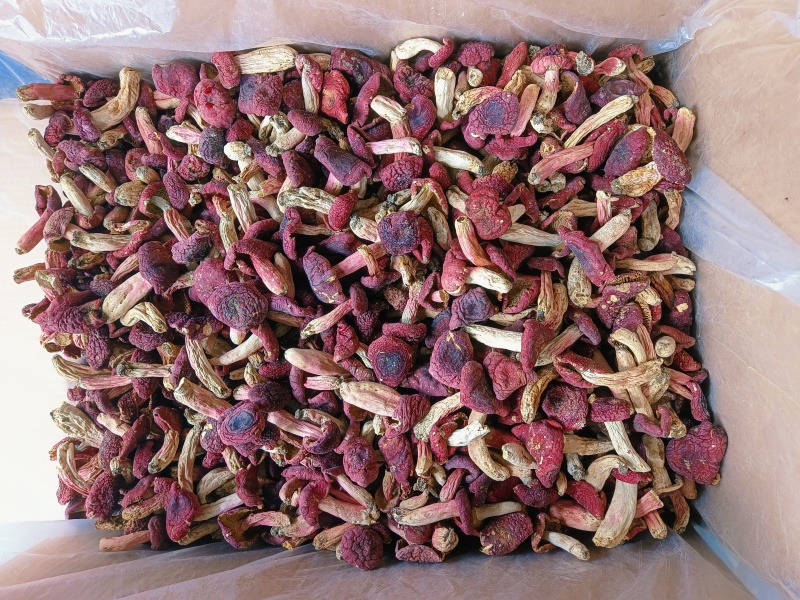 【红菇礼盒】野生红菇，特级红菇月子红菇干货