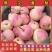 佛见喜梨树苗品种纯真纯甜无酸基地现起现发成活率高