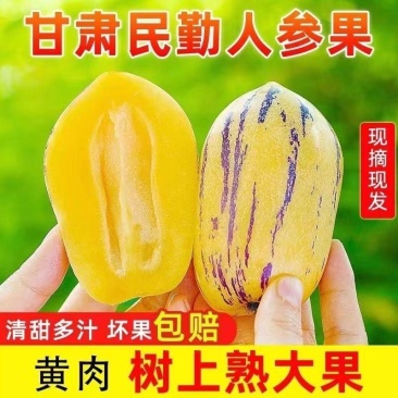 甘肃人参果，产地直发，诚信经营，实力代办