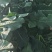 西兰苔毛货，大量有货