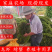 伊乐藻大量出售，塘口一手货源，基地直发