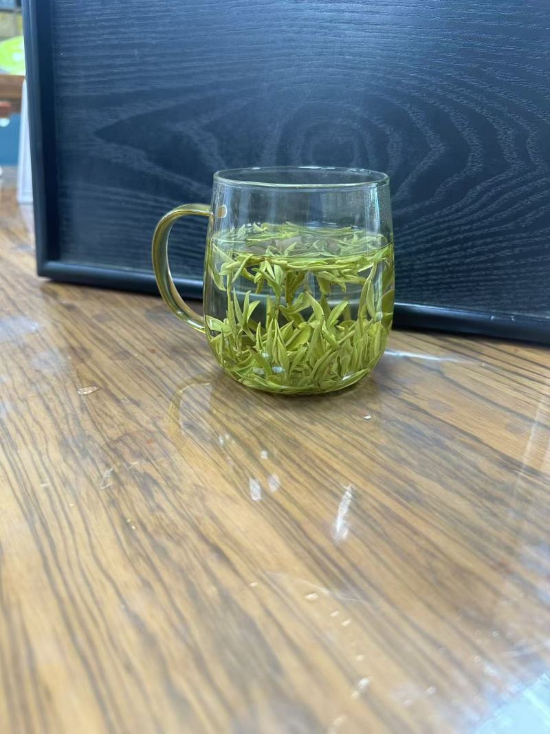 安吉白茶、安吉奶白茶（黄金芽）销售