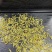 安吉白茶、安吉奶白茶（黄金芽）销售