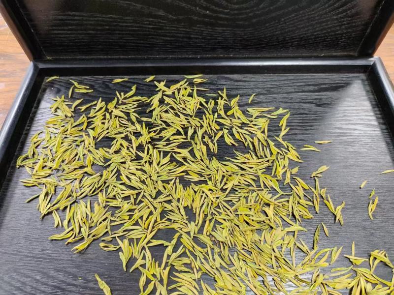 安吉白茶、安吉奶白茶（黄金芽）销售