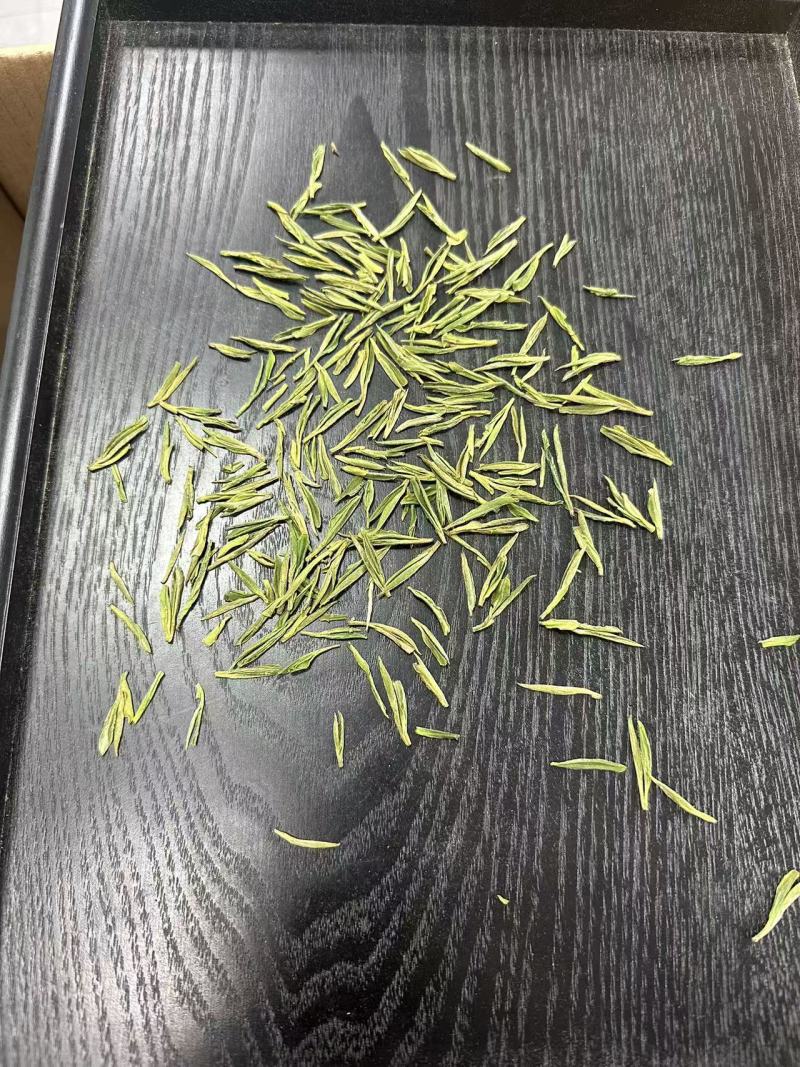 安吉白茶、安吉奶白茶（黄金芽）销售
