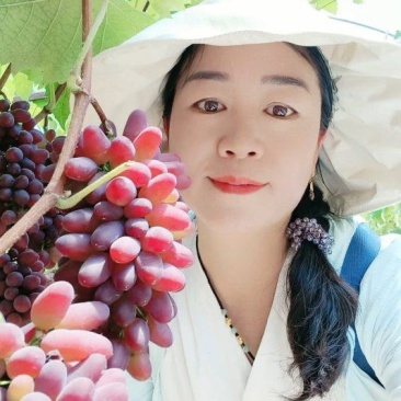云南茉莉香之乡，口感好，颜色均匀，粉色鲜艳，耐应输