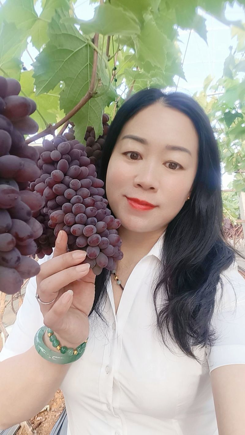 云南茉莉香之乡，口感好，颜色均匀，粉色鲜艳，耐应输