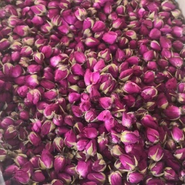 月季花