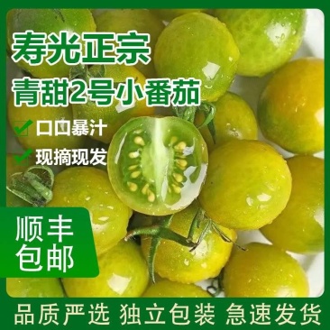 正宗寿光青甜二号小番茄一件代发圣女果西红柿爆汁高品质顺丰