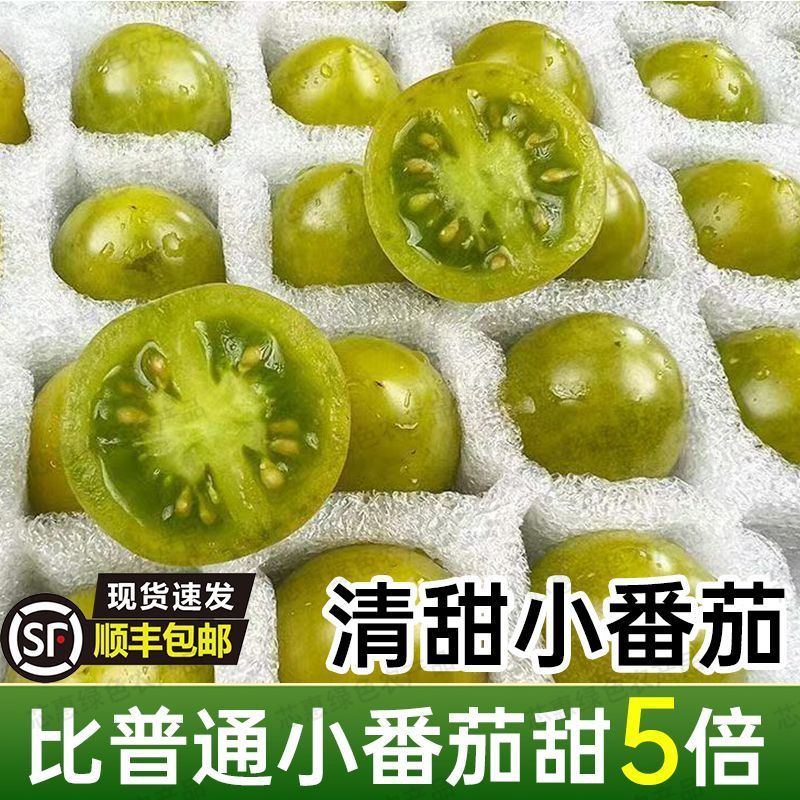 寿光青甜2号小番茄一件代发巨甜顺丰京东圣女果一件代发包邮