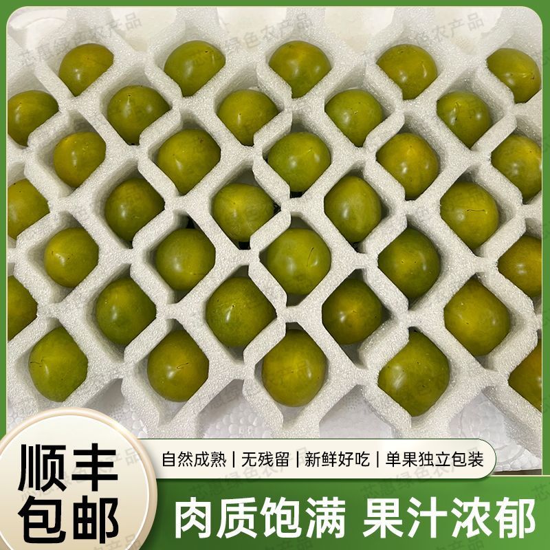 寿光青甜2号小番茄一件代发巨甜顺丰京东圣女果一件代发包邮