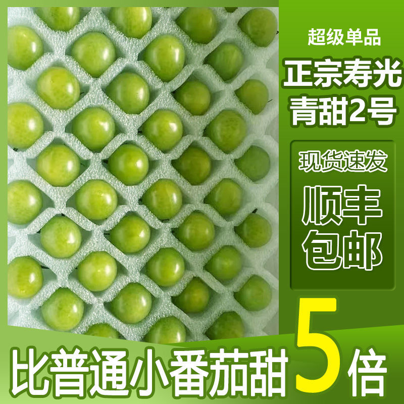 寿光青甜2号小番茄一件代发巨甜顺丰京东圣女果一件代发包邮
