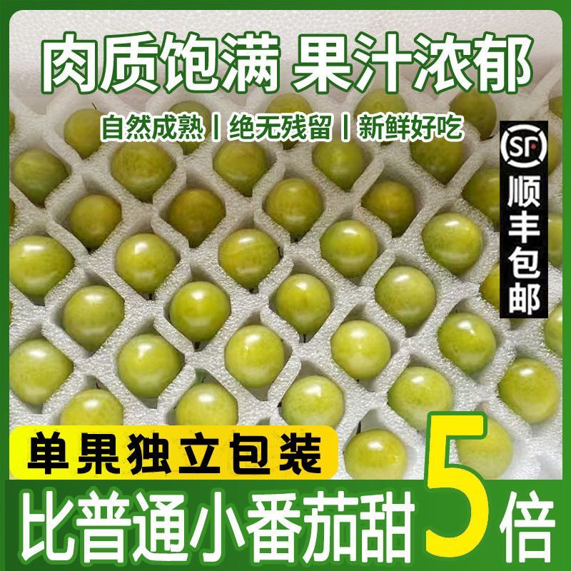 寿光青甜2号小番茄一件代发巨甜顺丰京东圣女果一件代发包邮