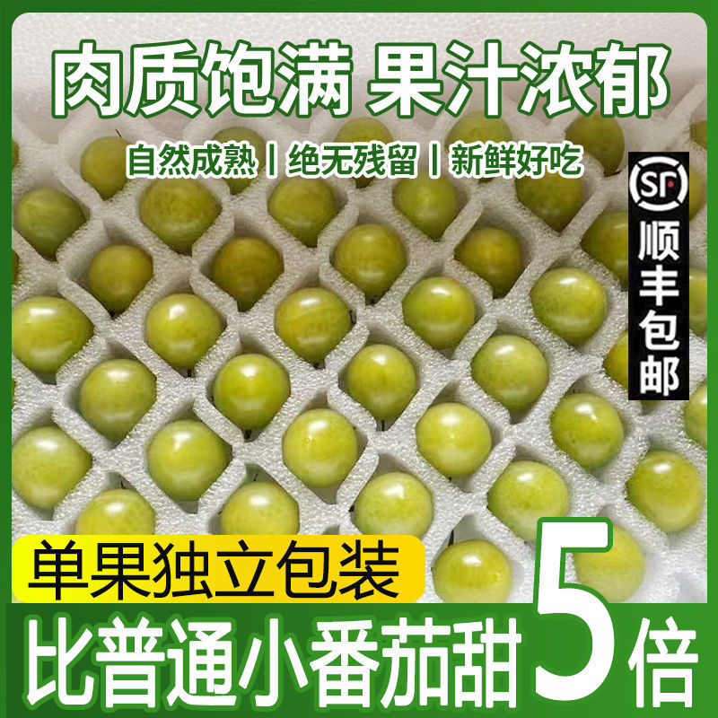 寿光青甜2号小番茄一件代发巨甜顺丰京东圣女果一件代发包邮