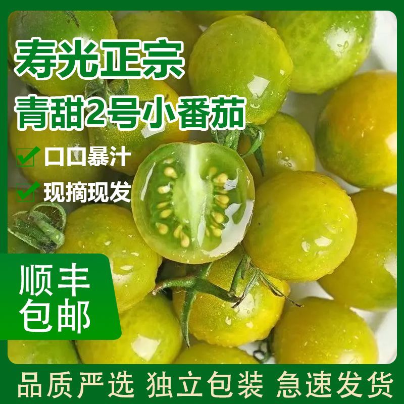 寿光青甜2号小番茄一件代发巨甜顺丰京东圣女果一件代发包邮