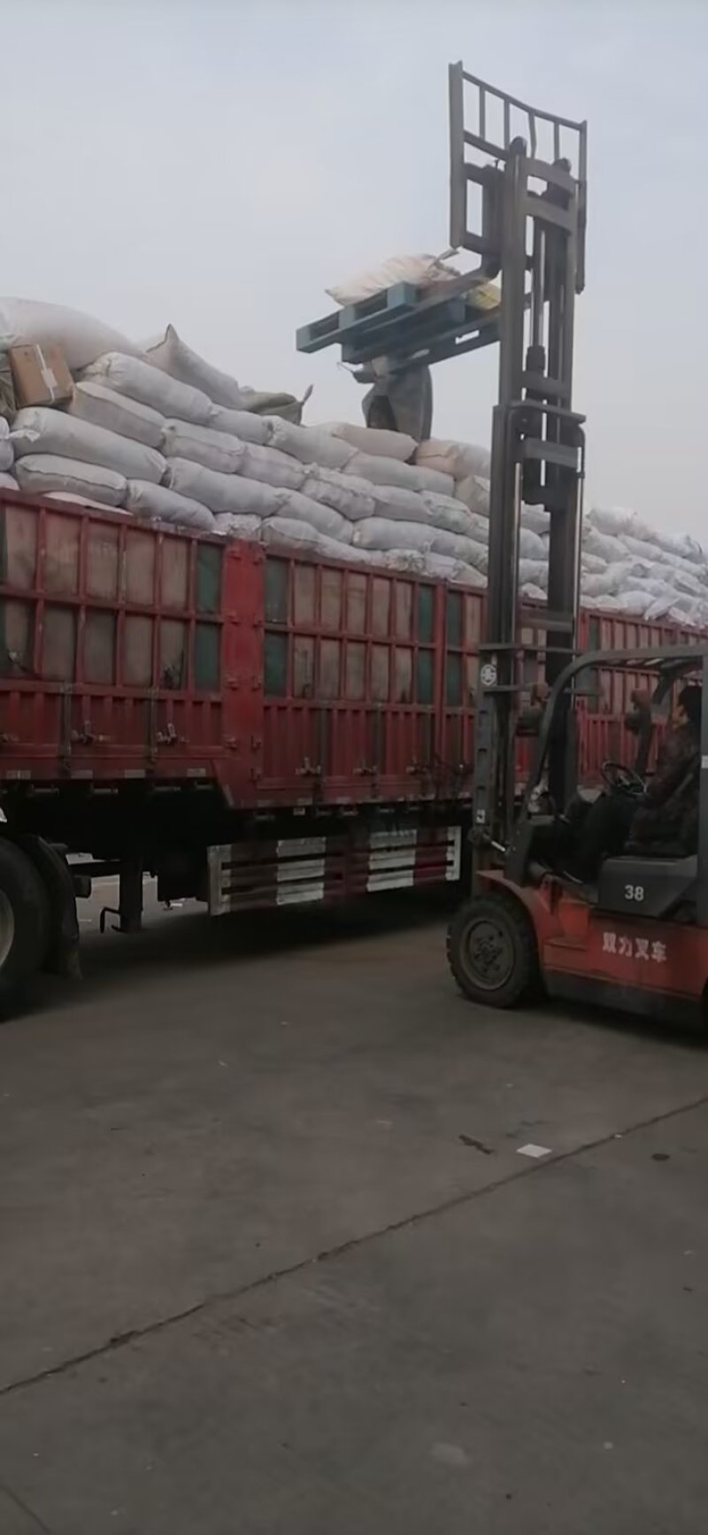 薄荷叶