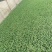 《玉米苗》水果玉米/糯玉米苗子/云南通海基地现挖现发