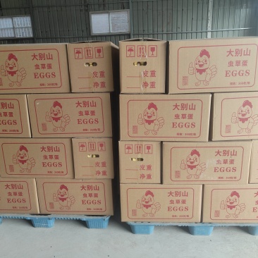 精品粉蛋通货质量保证全国发货
