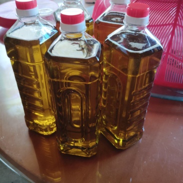 农家珍珠籽山茶油