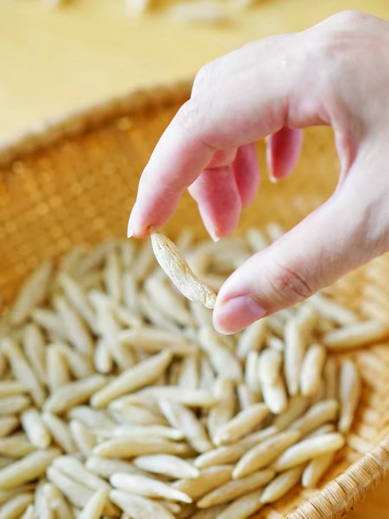 【正品麦冬】搭黄芪党参枸杞玉竹泡茶煲汤家庭常备无硫无熏