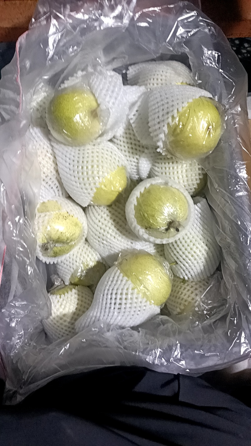 青皮皇冠梨